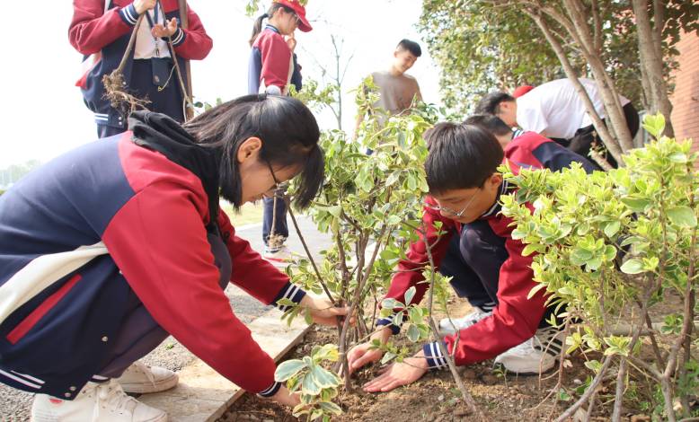 春风十里，“植”得等待 | 芜湖海亮实验学校植树活动